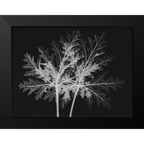 Leaves Seq Black Modern Wood Framed Art Print by Koetsier, Albert