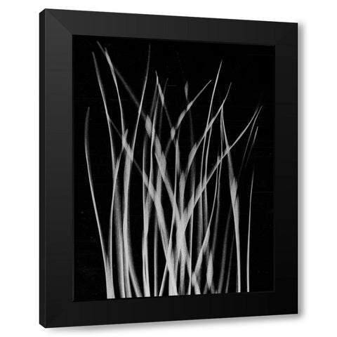 Grassy Heaven Black Modern Wood Framed Art Print by Koetsier, Albert