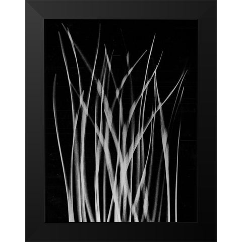 Grassy Heaven Black Modern Wood Framed Art Print by Koetsier, Albert