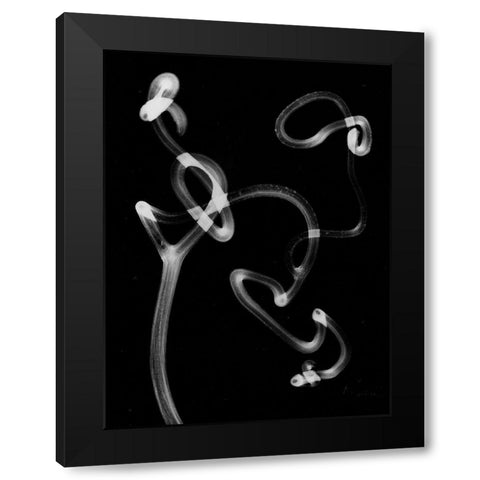 Tendril Black Modern Wood Framed Art Print with Double Matting by Koetsier, Albert