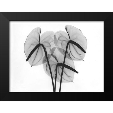 Flamingo 2 Black Modern Wood Framed Art Print by Koetsier, Albert