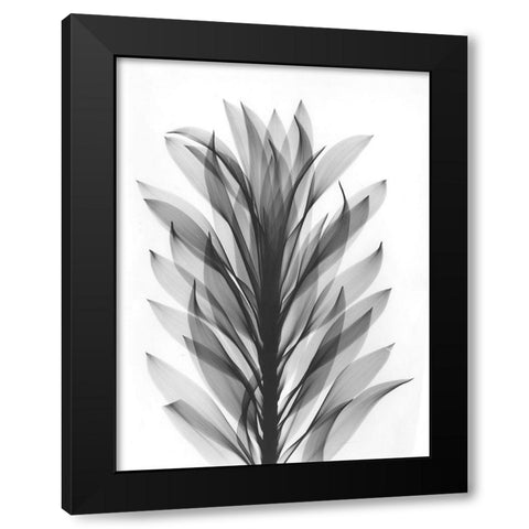 Song Of India Black Modern Wood Framed Art Print with Double Matting by Koetsier, Albert