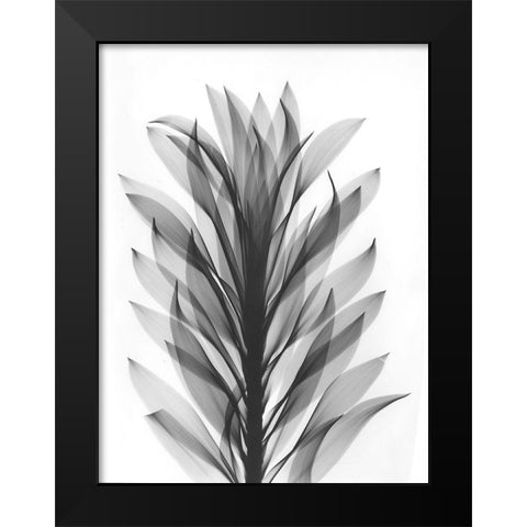 Song Of India Black Modern Wood Framed Art Print by Koetsier, Albert