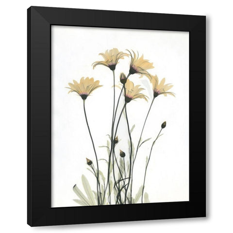 Wild Flowers Black Modern Wood Framed Art Print by Koetsier, Albert