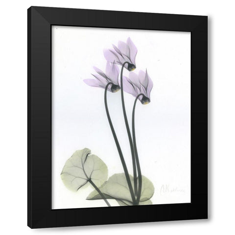 Cyclamen Black Modern Wood Framed Art Print with Double Matting by Koetsier, Albert