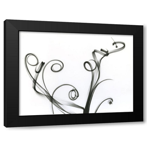 Tillandsia Black Modern Wood Framed Art Print by Koetsier, Albert