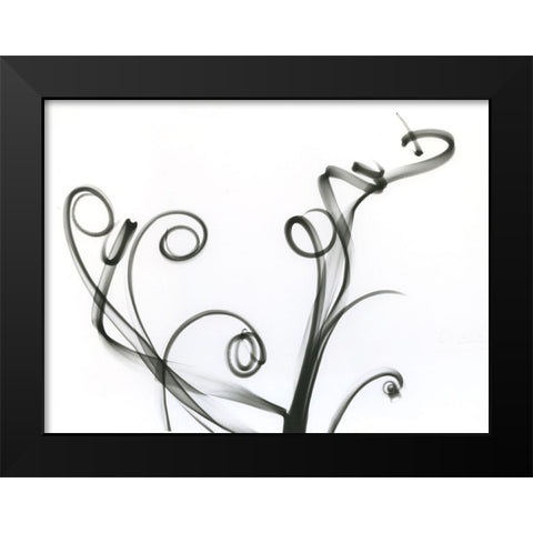 Tillandsia Black Modern Wood Framed Art Print by Koetsier, Albert