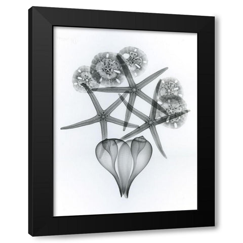 Sacred Sea Black Modern Wood Framed Art Print by Koetsier, Albert