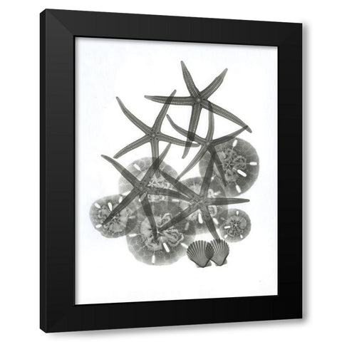 Sea Collection Black Modern Wood Framed Art Print with Double Matting by Koetsier, Albert