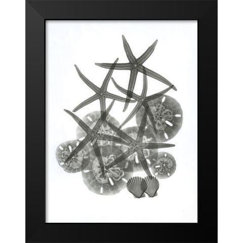 Sea Collection Black Modern Wood Framed Art Print by Koetsier, Albert