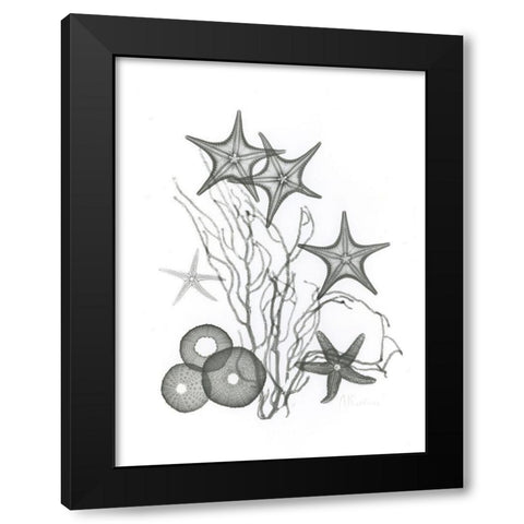 Starfish Black Modern Wood Framed Art Print by Koetsier, Albert