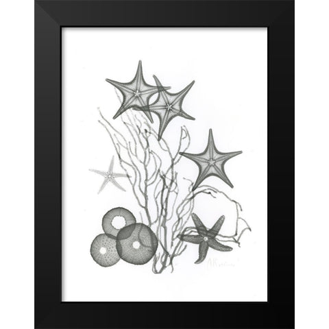 Starfish Black Modern Wood Framed Art Print by Koetsier, Albert