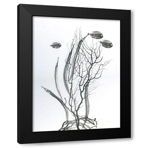 Sea Bottom Black Modern Wood Framed Art Print with Double Matting by Koetsier, Albert