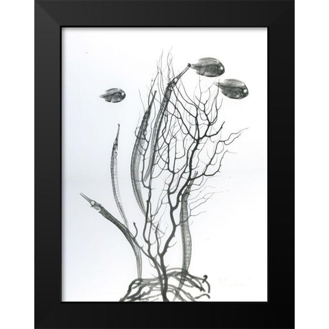 Sea Bottom Black Modern Wood Framed Art Print by Koetsier, Albert