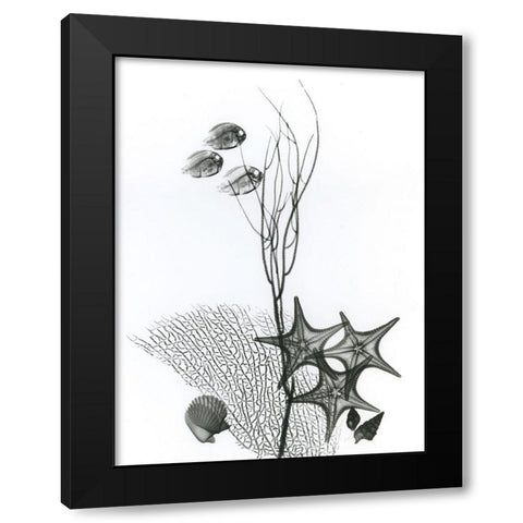Seascape Black Modern Wood Framed Art Print with Double Matting by Koetsier, Albert