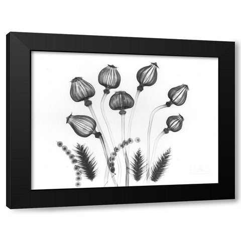 Seed Gods Black Modern Wood Framed Art Print by Koetsier, Albert