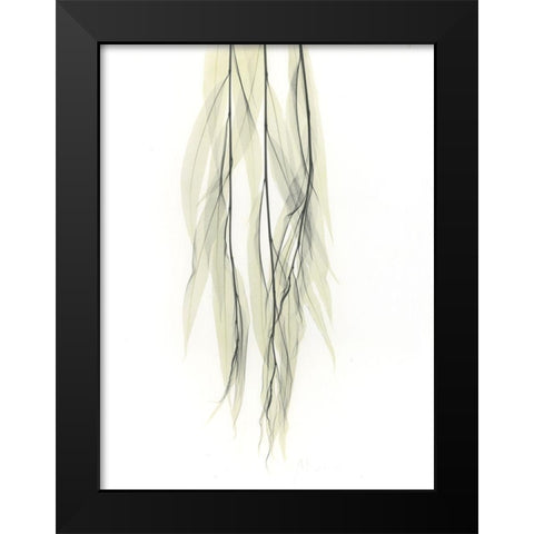 Weeping Willow Black Modern Wood Framed Art Print by Koetsier, Albert