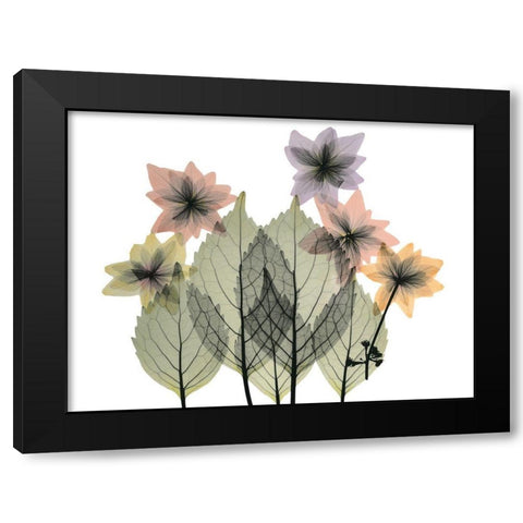 Hiding Lovelies Black Modern Wood Framed Art Print by Koetsier, Albert