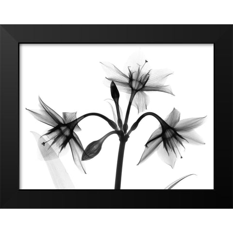 Sadened Trio Black Modern Wood Framed Art Print by Koetsier, Albert