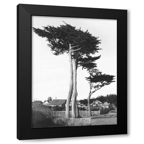 Looking Over Black Modern Wood Framed Art Print with Double Matting by Koetsier, Albert