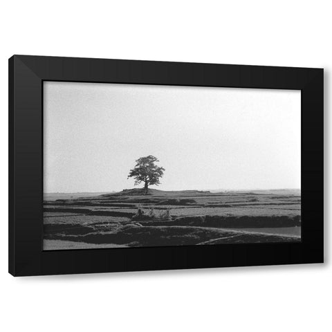Lonely Field Black Modern Wood Framed Art Print by Koetsier, Albert