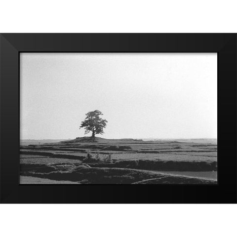 Lonely Field Black Modern Wood Framed Art Print by Koetsier, Albert