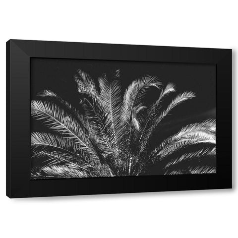 Tropical Night Black Modern Wood Framed Art Print by Koetsier, Albert