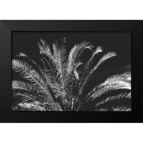 Tropical Night Black Modern Wood Framed Art Print by Koetsier, Albert