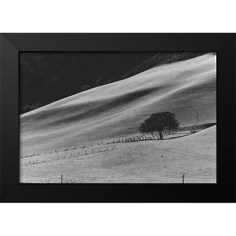 Calming Slope Black Modern Wood Framed Art Print by Koetsier, Albert