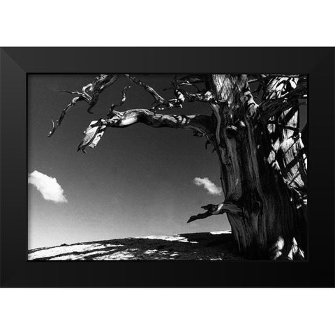 Curved World Black Modern Wood Framed Art Print by Koetsier, Albert