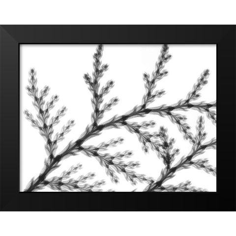 Natural Reach Black Modern Wood Framed Art Print by Koetsier, Albert