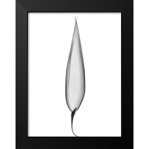 Burning Desires Black Modern Wood Framed Art Print by Koetsier, Albert