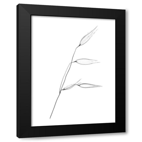 Wheat Black Modern Wood Framed Art Print with Double Matting by Koetsier, Albert