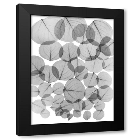 Baybean Leaves Black Modern Wood Framed Art Print with Double Matting by Koetsier, Albert