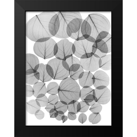 Baybean Leaves Black Modern Wood Framed Art Print by Koetsier, Albert