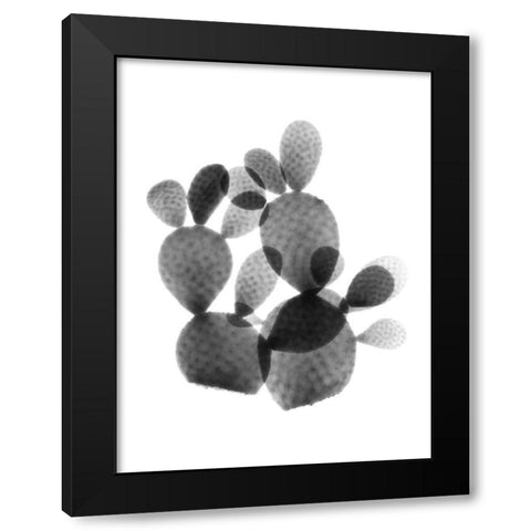 Cactus Bunch Black Modern Wood Framed Art Print with Double Matting by Koetsier, Albert