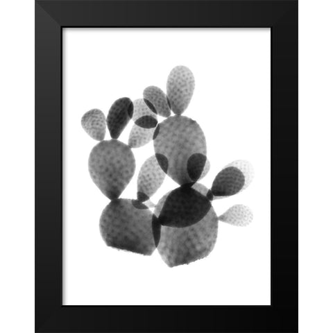 Cactus Bunch Black Modern Wood Framed Art Print by Koetsier, Albert