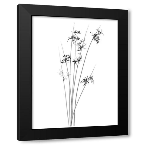 Sky Reachers Black Modern Wood Framed Art Print by Koetsier, Albert