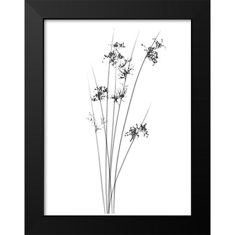 Sky Reachers Black Modern Wood Framed Art Print by Koetsier, Albert