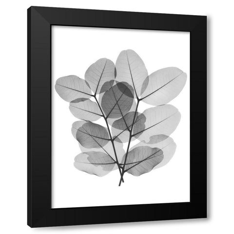 Leafy Bunch Black Modern Wood Framed Art Print with Double Matting by Koetsier, Albert