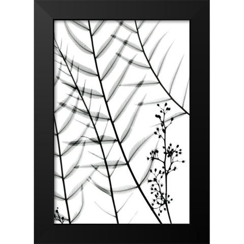 California Pepper Tree Black Modern Wood Framed Art Print by Koetsier, Albert