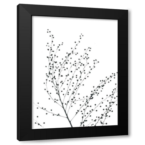 Pretty And Delicate Black Modern Wood Framed Art Print with Double Matting by Koetsier, Albert