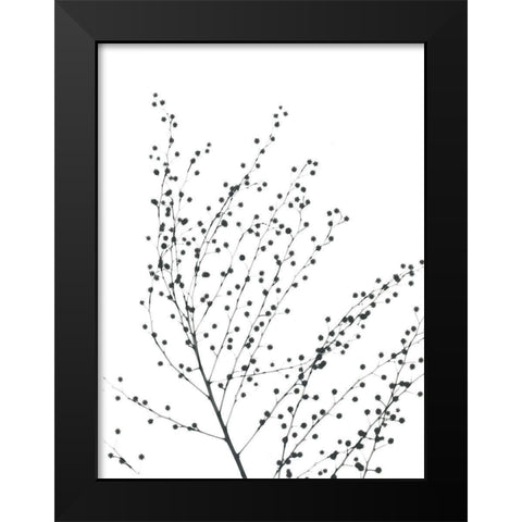 Pretty And Delicate Black Modern Wood Framed Art Print by Koetsier, Albert