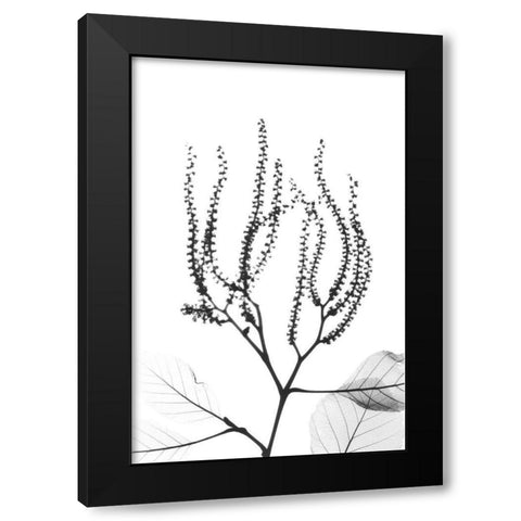 Reaching Branches Black Modern Wood Framed Art Print with Double Matting by Koetsier, Albert