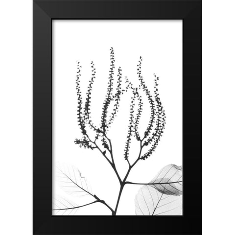 Reaching Branches Black Modern Wood Framed Art Print by Koetsier, Albert