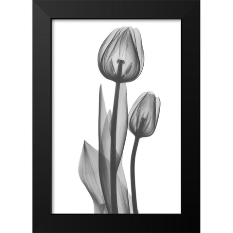 Coupled Friends Black Modern Wood Framed Art Print by Koetsier, Albert