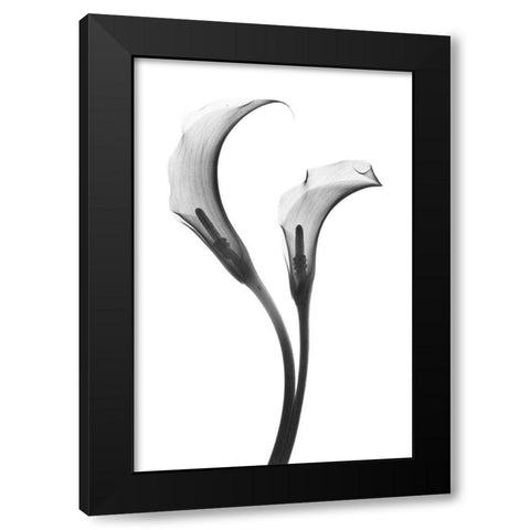 Growing Apart Black Modern Wood Framed Art Print with Double Matting by Koetsier, Albert