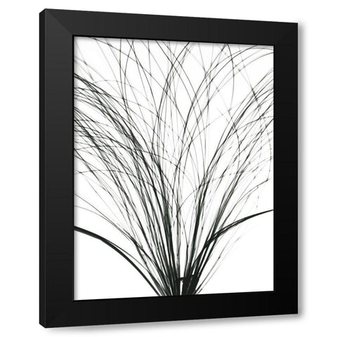 Frayed Soul Black Modern Wood Framed Art Print by Koetsier, Albert