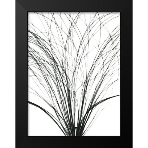 Frayed Soul Black Modern Wood Framed Art Print by Koetsier, Albert