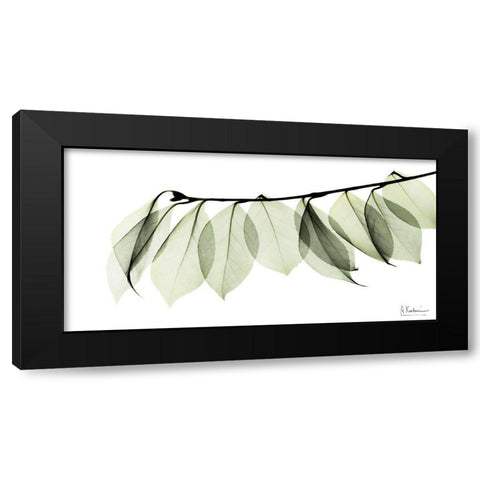 Camelia Leaf In White Black Modern Wood Framed Art Print with Double Matting by Koetsier, Albert